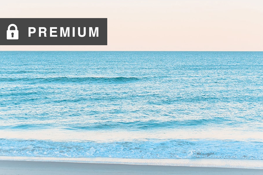 ‘No Surf Days’ Can Be Your Friend