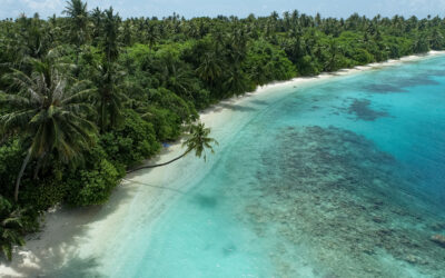 Top 5: Surf Island Escapes