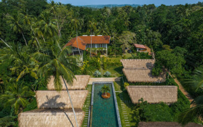 Surf Adventures in Sri Lanka